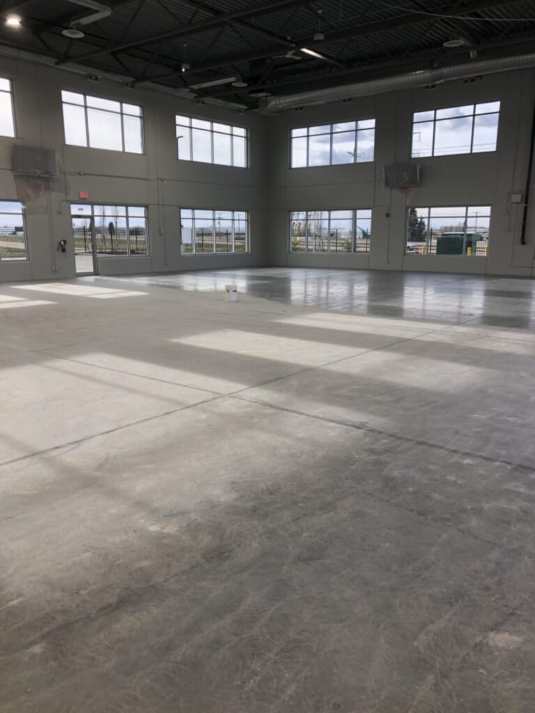 Job33 Polyaspartic Chips Before